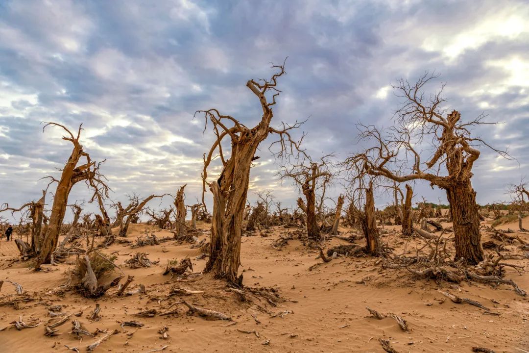 1654152982259524.jpg f5cdcf9b20eccb0bd78774471acbbc28_640_wx_fmt=jpeg&wxfrom=5&wx_lazy=1&wx_co=1.jpg